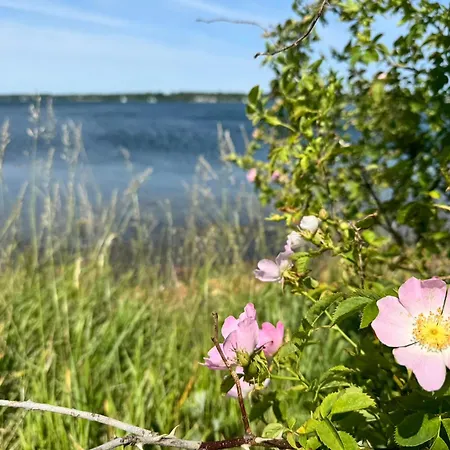 Am Muehlendamm - Meerblick, Sauna Und Ofen *